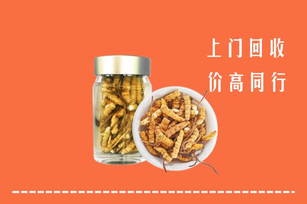 收购行情：铜鼓县回收冬虫夏草